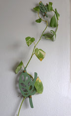 Wall Leaf