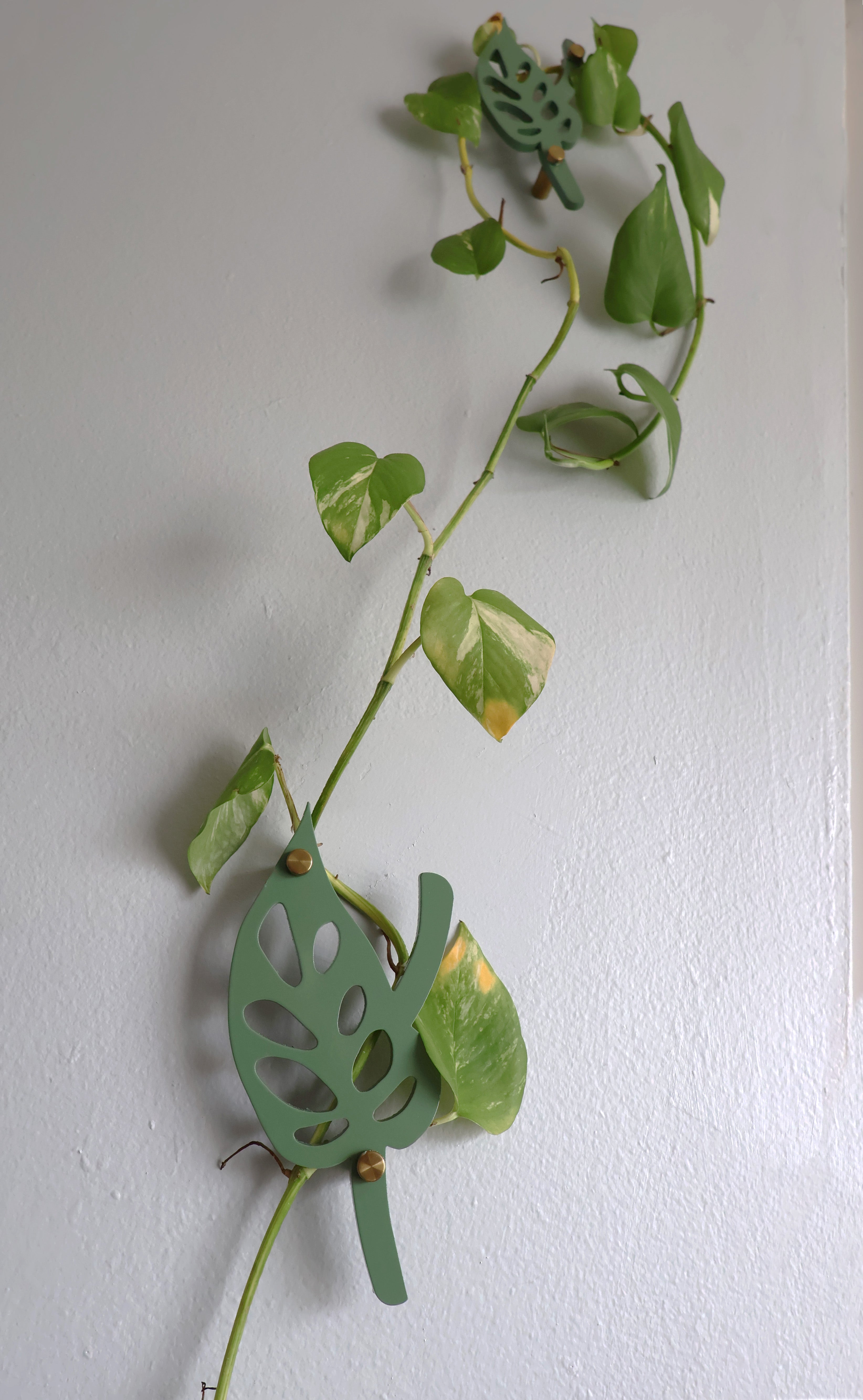 Wall Leaf