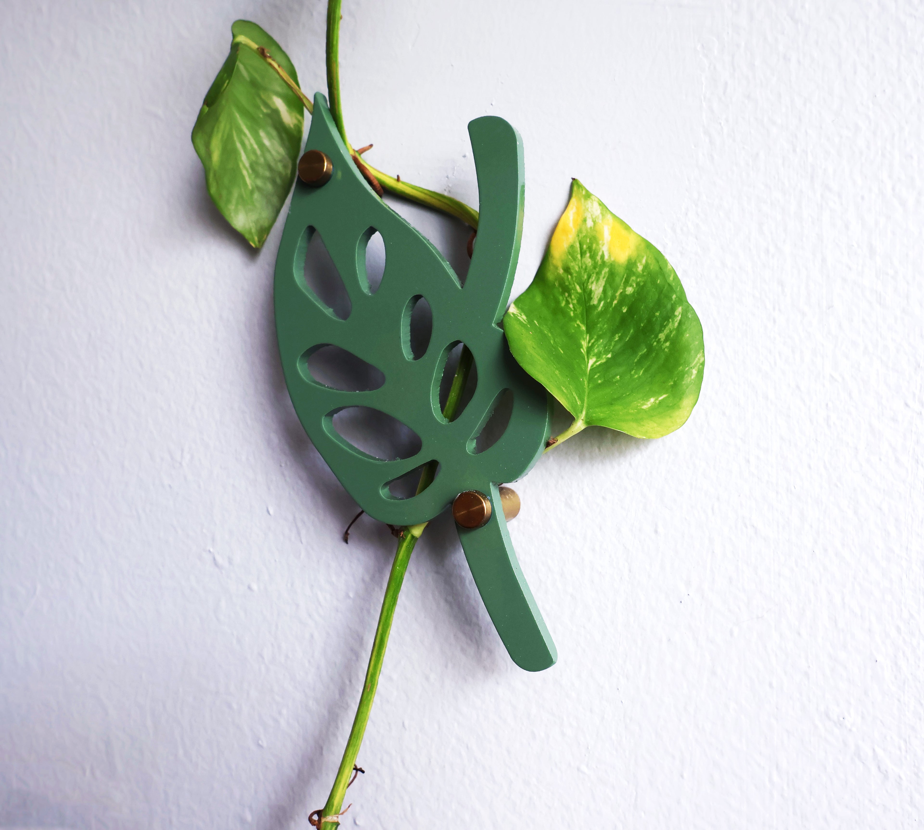 Wall Leaf